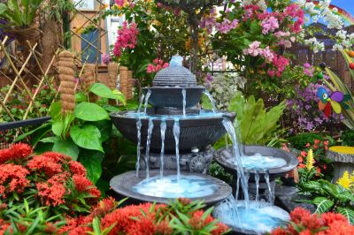 Get Expert Assessment of Your Fountain!