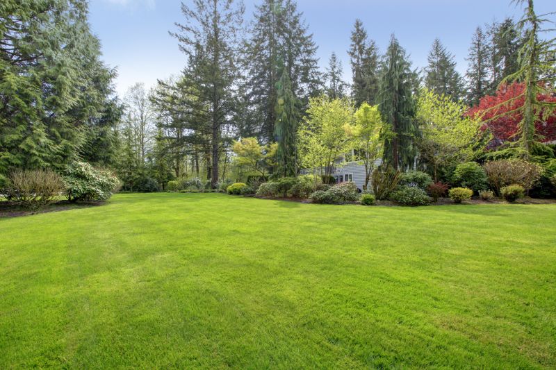 Custom Landscaping in Ventura County, CA